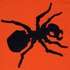 The_ant